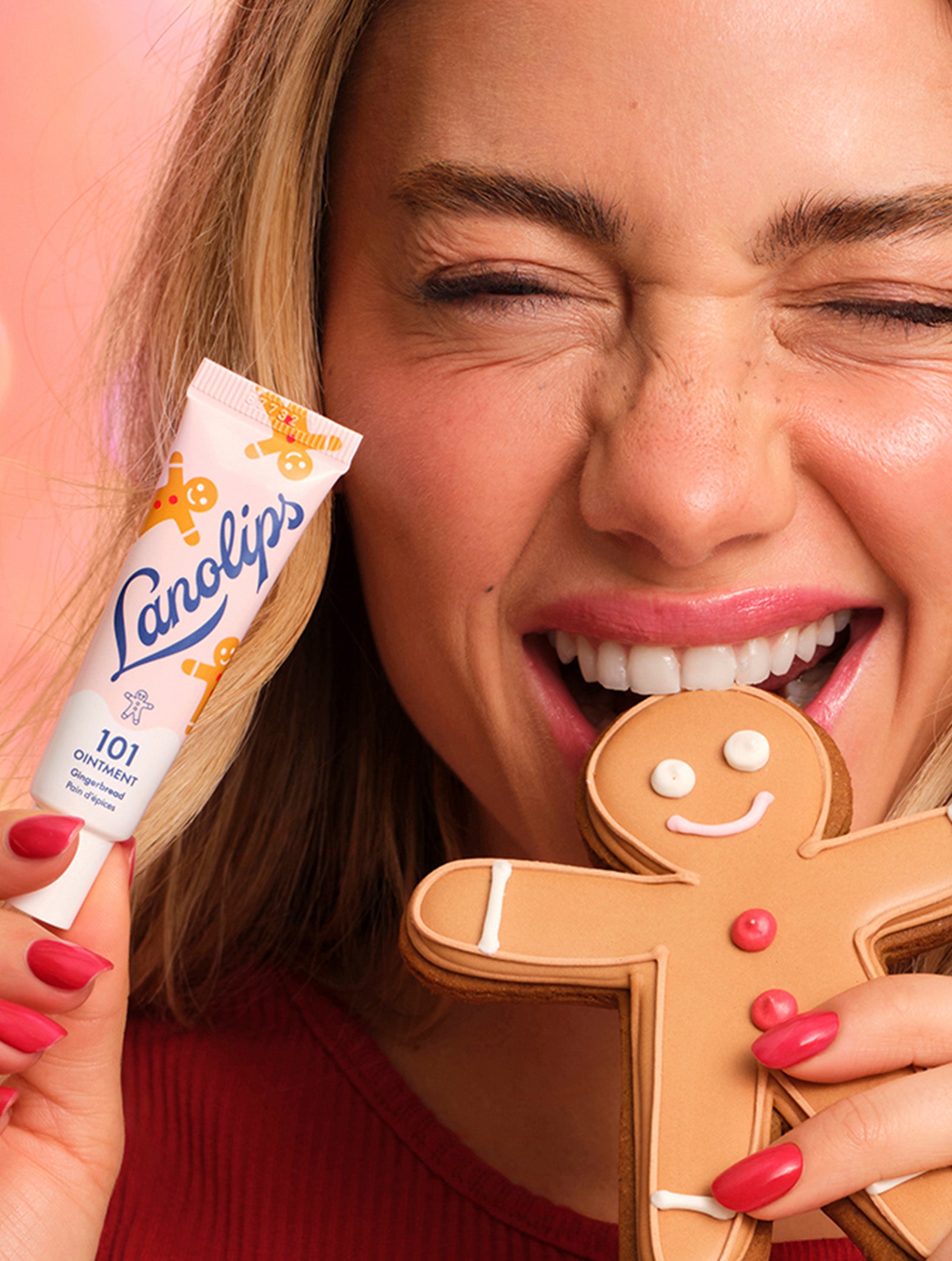 Gingerbread Lip Balm | 101 Ointment Gingerbread | Lanolips UK